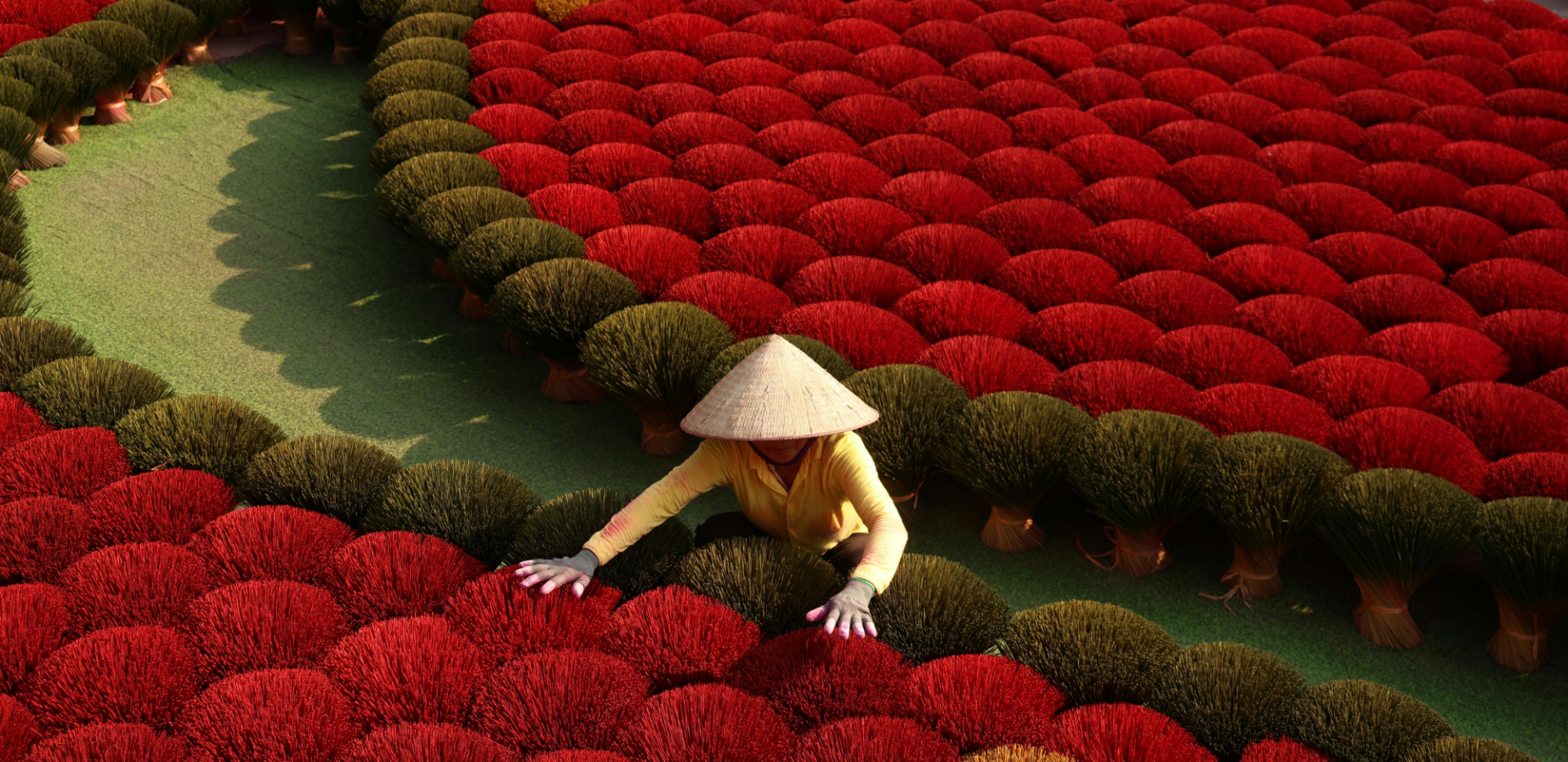 Préparer son voyage au Vietnam : informations pratiques