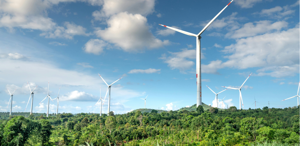 🌍 Compensation carbone : s’engager pour des voyages plus responsables