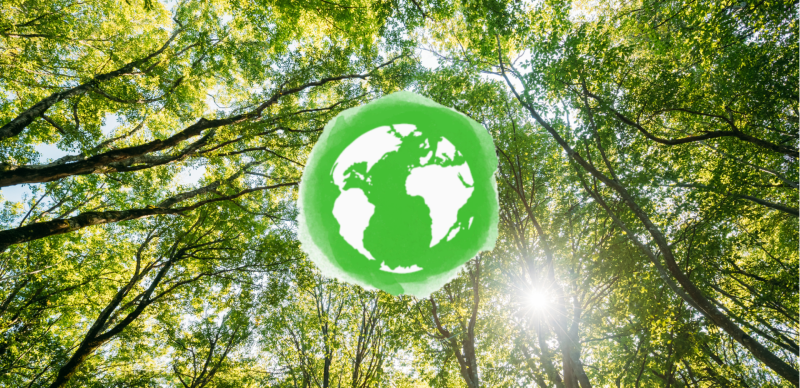 Notre démarche RSE : un tourisme plus responsable