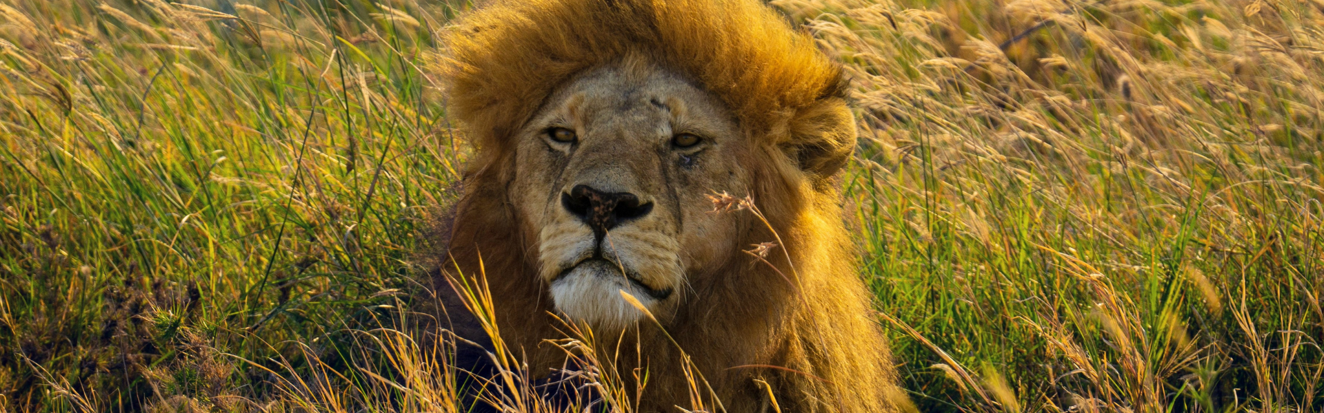 Voyages de groupe en Afrique