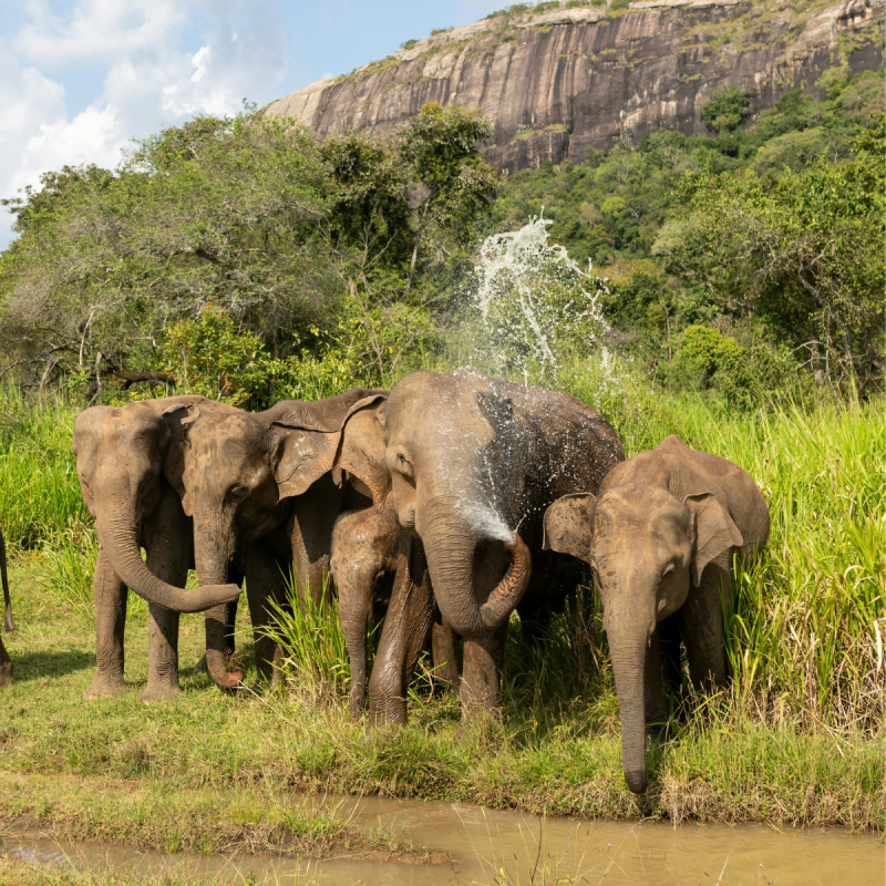 Avis de Maria et Fred