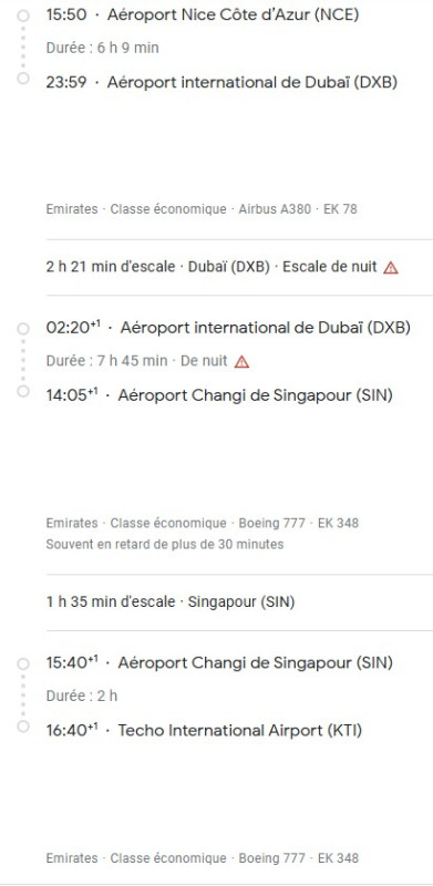 VOS VOLS* EMIRATES de NICE - Vol aller