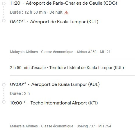 VOS VOLS* MALAYSIA AIRLINES de PARIS - Vol aller