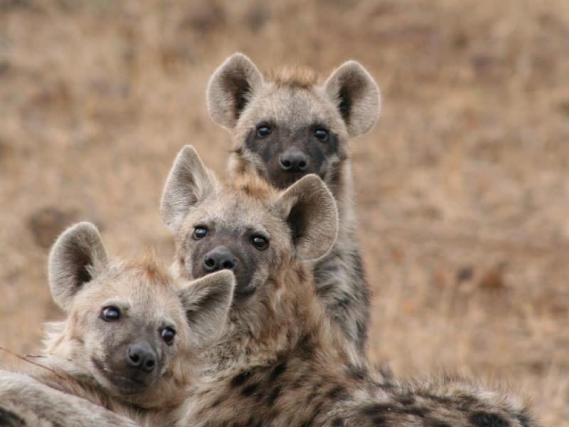 JOUR 11 : SOWETO / JOHANNESBURG ✈️ FRANCE 💚