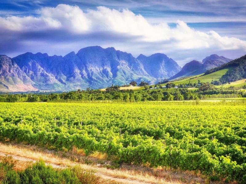 JOUR 4 : ESCAPADE AU CŒUR DES VIGNOBLES DU CAP ✈️ DURBAN