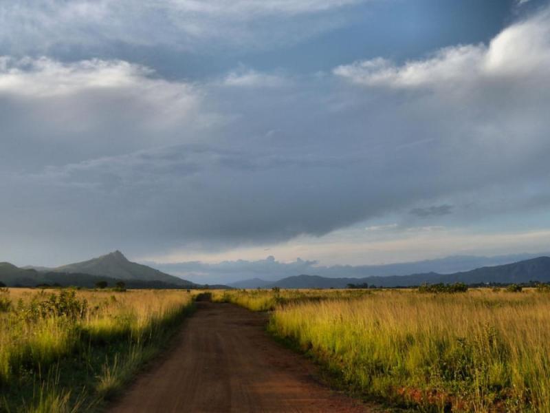 JOUR 4 : ESCAPADE AU CŒUR DES VIGNOBLES DU CAP ✈️ DURBAN